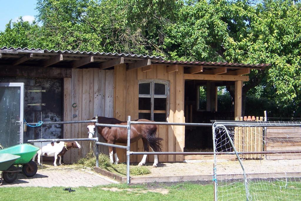 Landhotel Zum Adler Oberbechingen Екстериор снимка